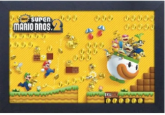 Cadre / Framed - New Super Mario Bros 2 (COINS)
